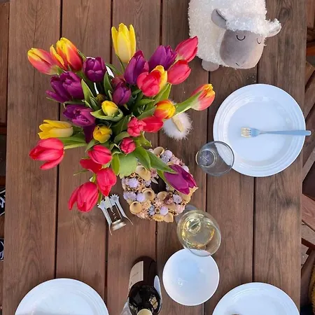 Voeroesko Villa- Alelnoeki Szauna Es Jakuzzi Hasznalattal