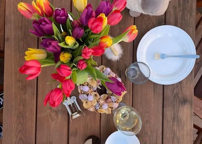 Vöröskő Villa- Alelnöki Szauna és Jakuzzi Használattal